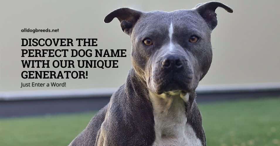 dog name generator petrage